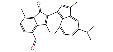 Anthogorgiene B